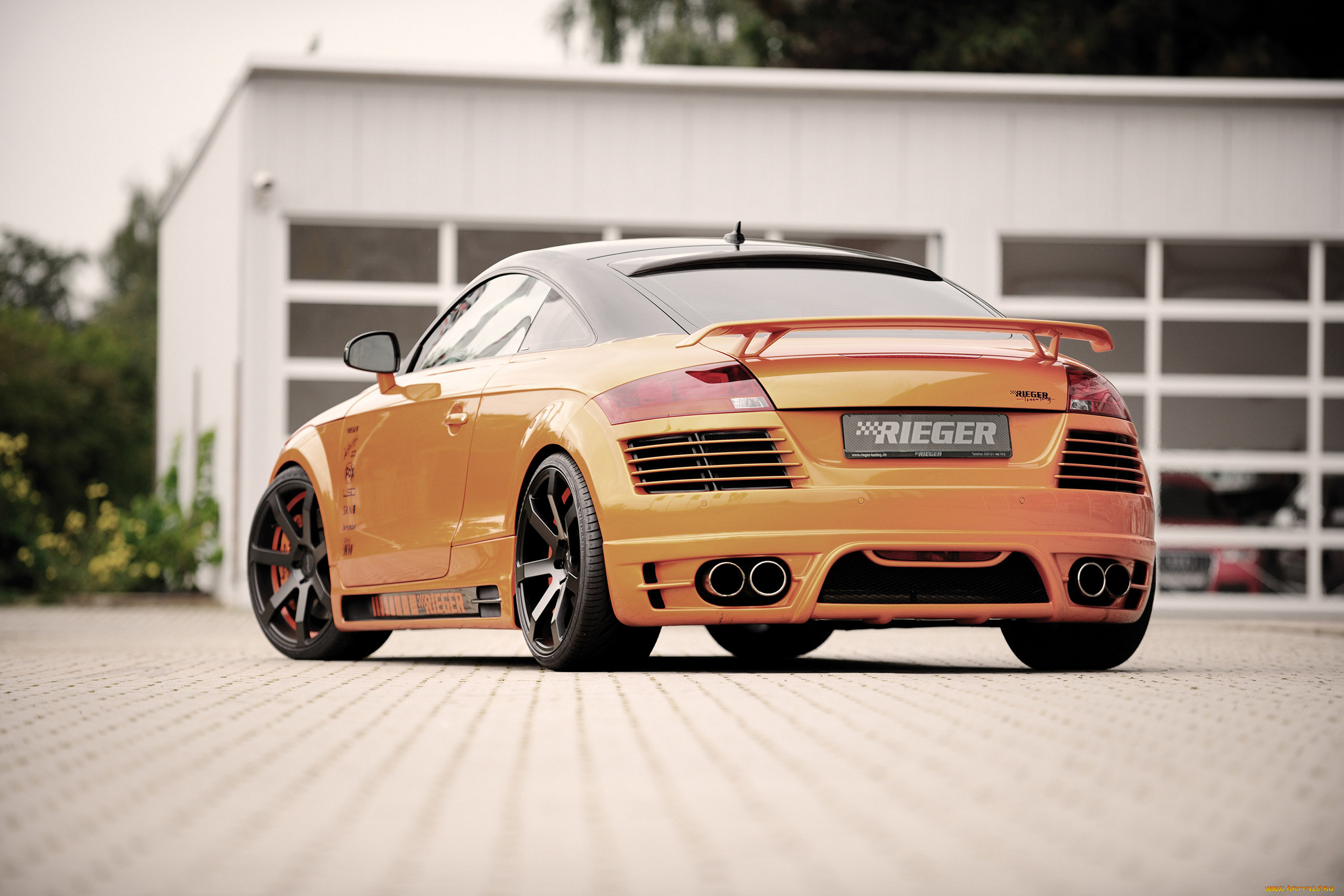 , audi, rieger